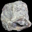 Crystal Filled Dugway Geode (Polished Half) #67484-2